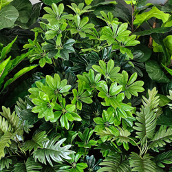 Dwarf Umbrella [schefflera] 1.1m - artificial plants, flowers & trees - image 1