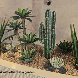 Agave Plant 1.3m with 4 heads - artificial plants, flowers & trees - image 4