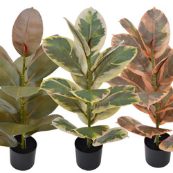 Rubber Plant- Burgundy 70cm - artificial plants, flowers & trees - image 2