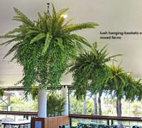 Country Club needed green interior to match exterior setting...