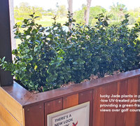 Country Club needed green interior to match exterior setting...