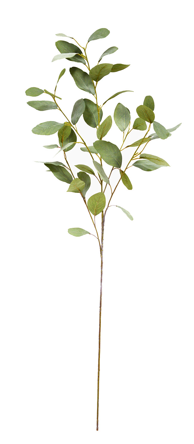 Leaf Sprays- Silver Gums