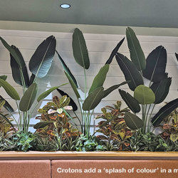 Croton 90cm - artificial plants, flowers & trees - image 3