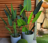 Residential eyesore becomes instant stunning Garden feature...