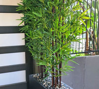 Residential eyesore becomes instant stunning Garden feature...