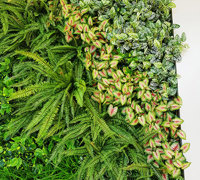 Shopping Mall Entrance finished-off with artificial Green-Wall...