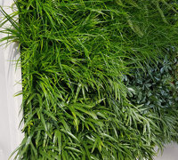 Shopping Mall Entrance finished-off with artificial Green-Wall...