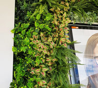 Shopping Mall Entrance finished-off with artificial Green-Wall...