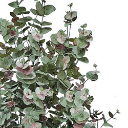 Eucalyptus 'Sweet Gum' 1.8m - artificial plants, flowers & trees - image 1
