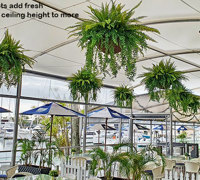 famous Yacht Club catches a cool-green breeze...