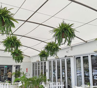 famous Yacht Club catches a cool-green breeze...