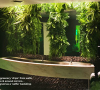 Nightclub goes "Jungle-Look"...