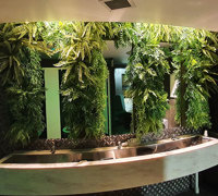 Nightclub goes "Jungle-Look"...