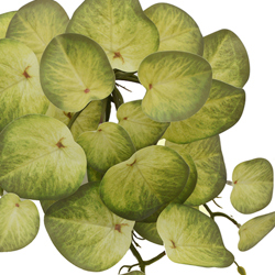 Trailing Vine- 1.2m Water Plant [Pilea] - artificial plants, flowers & trees - image 1
