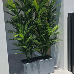 Trough Planters- with UV Parlour Palms 1.8m tall - artificial plants, flowers & trees - image 6