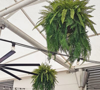 'EASY' ways to add Greenery to an existing Venue...