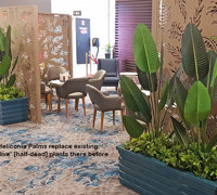 'EASY' ways to add Greenery to an existing Venue...