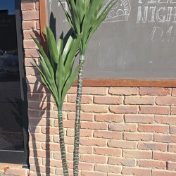 Yucca Tree- 1.2m with 2 heads  - artificial plants, flowers & trees - image 1