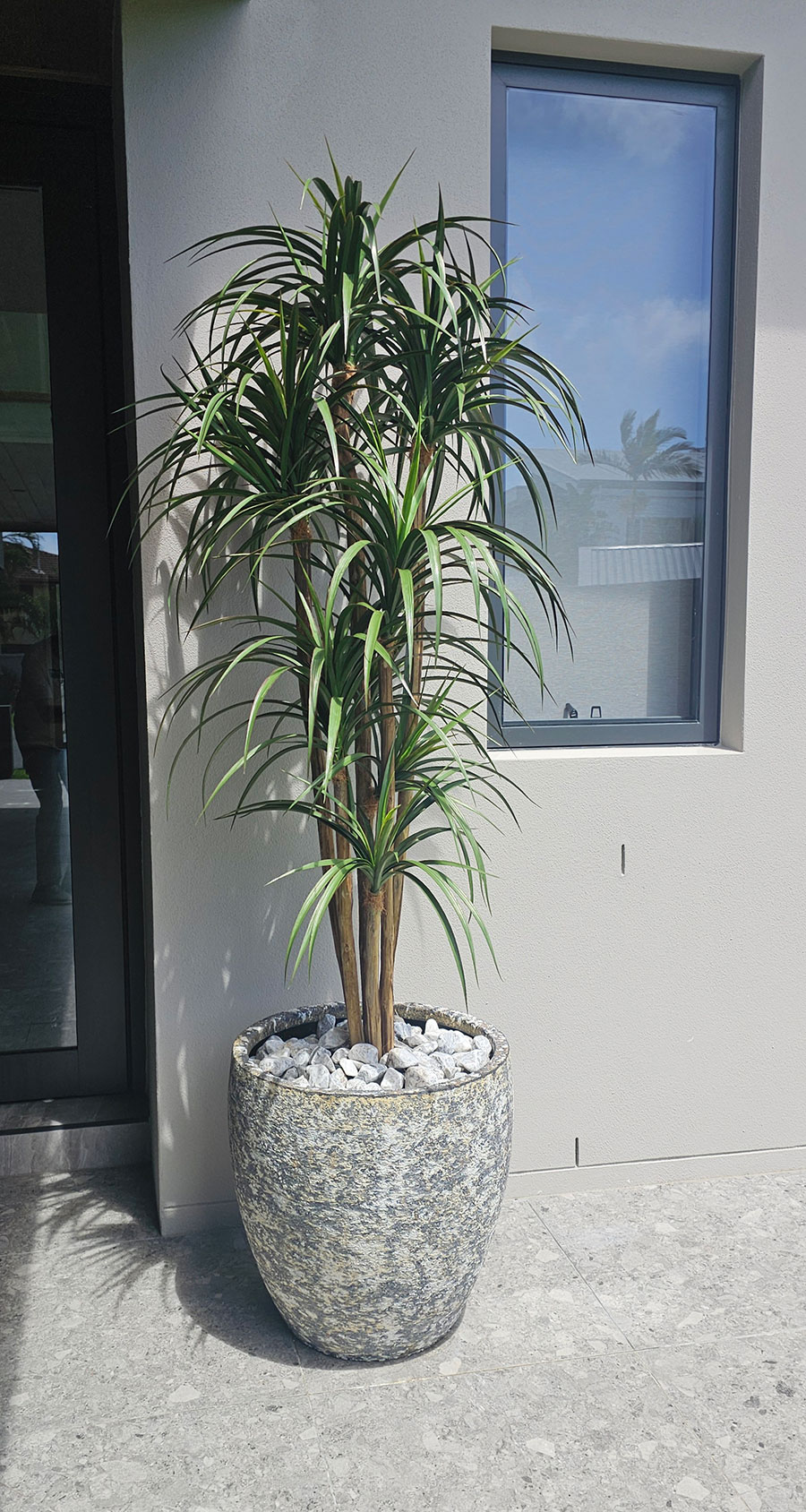 Yucca- UV 1.7m with 8 heads  