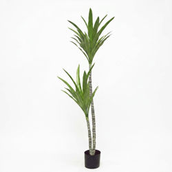 Yucca Tree- 1.2m with 2 heads  - artificial plants, flowers & trees - image 2