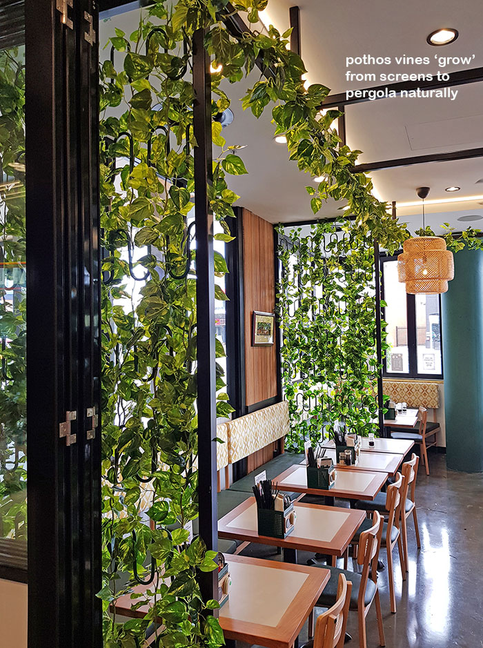 Cafe uses artificial green-vines for privacy screens & pergolas image 2