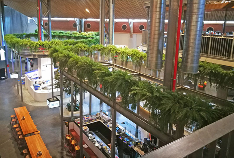 raised fern planters in mall food court