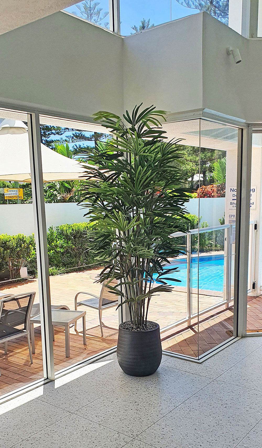 Elegant Rhapis Palm in tall planter in Appartment Foyer