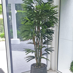 Rhapis Palms 1.8m - artificial plants, flowers & trees - image 1