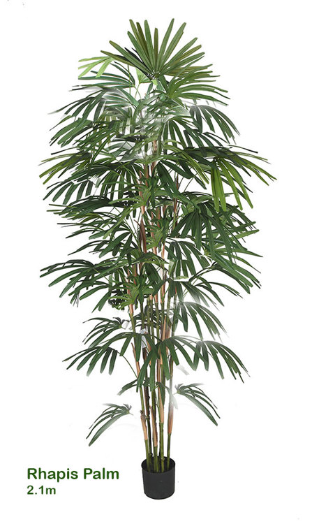 Articial Plants - Rhapis Palms 2.1m
