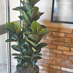 Rubber-Tree 1.3m - artificial plants, flowers & trees - image 3