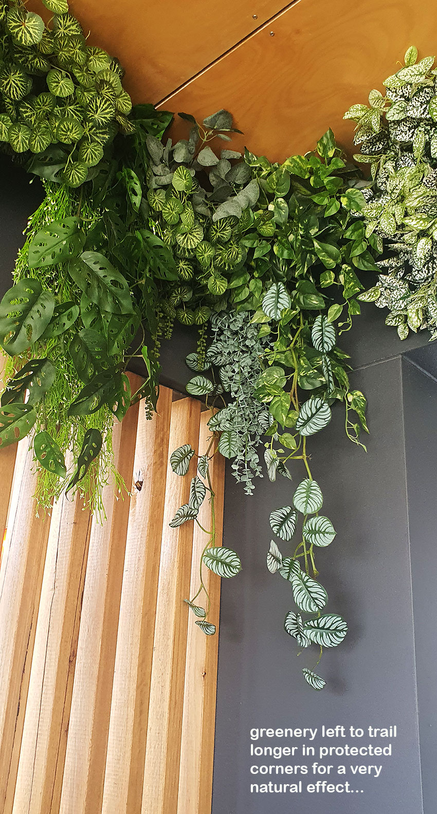 Very latest artificial greenery ideas used to lift Shopping Cnt Dining Precinct... image 10