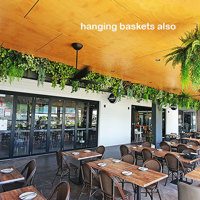 Very latest artificial greenery ideas used to lift Shopping Cnt Dining Precinct... poplet image 8