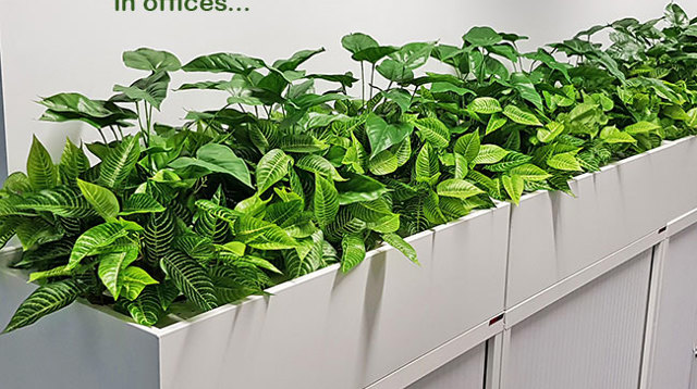 Office 'tambour' Planters...