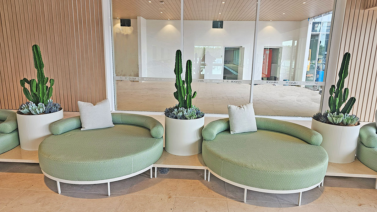 Cactus planters for tranquil foyers 