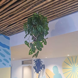 Hanging Cane Lantern- Monstera med - artificial plants, flowers & trees - image 3