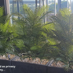 Cane Palm 1.5m deluxe UV-stable - artificial plants, flowers & trees - image 2