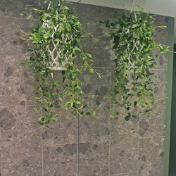 Hanging Cane Lantern- trailing Tea-Leaf- sml - artificial plants, flowers & trees - image 3
