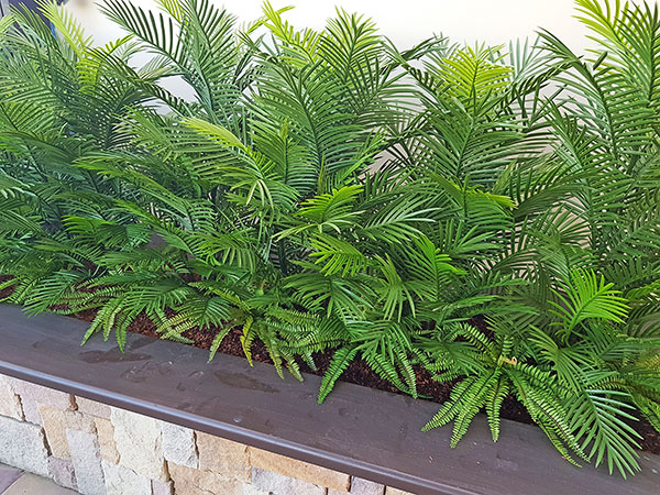 Artificial Palms replace 'dead palms' in external planter... image 6