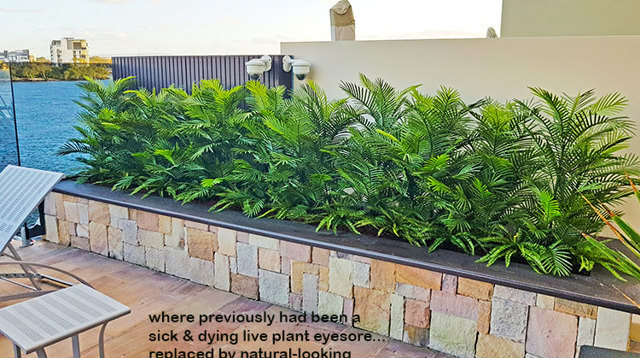 artificial Palms replace 'dead palms' in external planter...