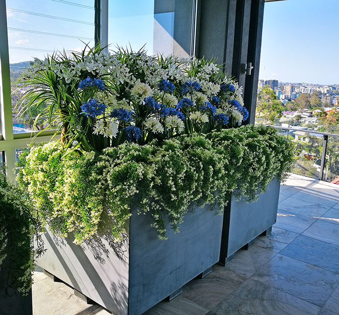 Colour & Greenery brighten-up penthouse balcony image 8