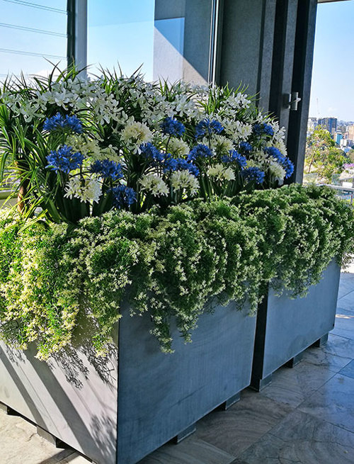 Colour & Greenery brighten-up penthouse balcony