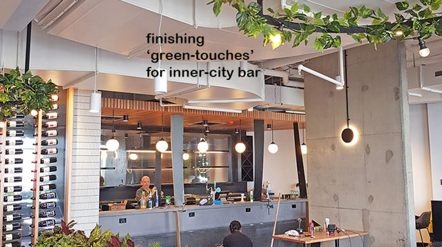 Finishing 'green-touches' to well-designed inner city bar...