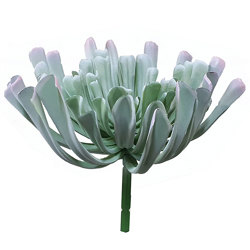 Succulent- Grey Aeonium - artificial plants, flowers & trees - image 1