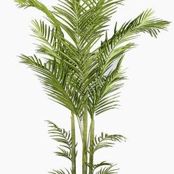 Sugar Palm 2.1m  - artificial plants, flowers & trees - image 7