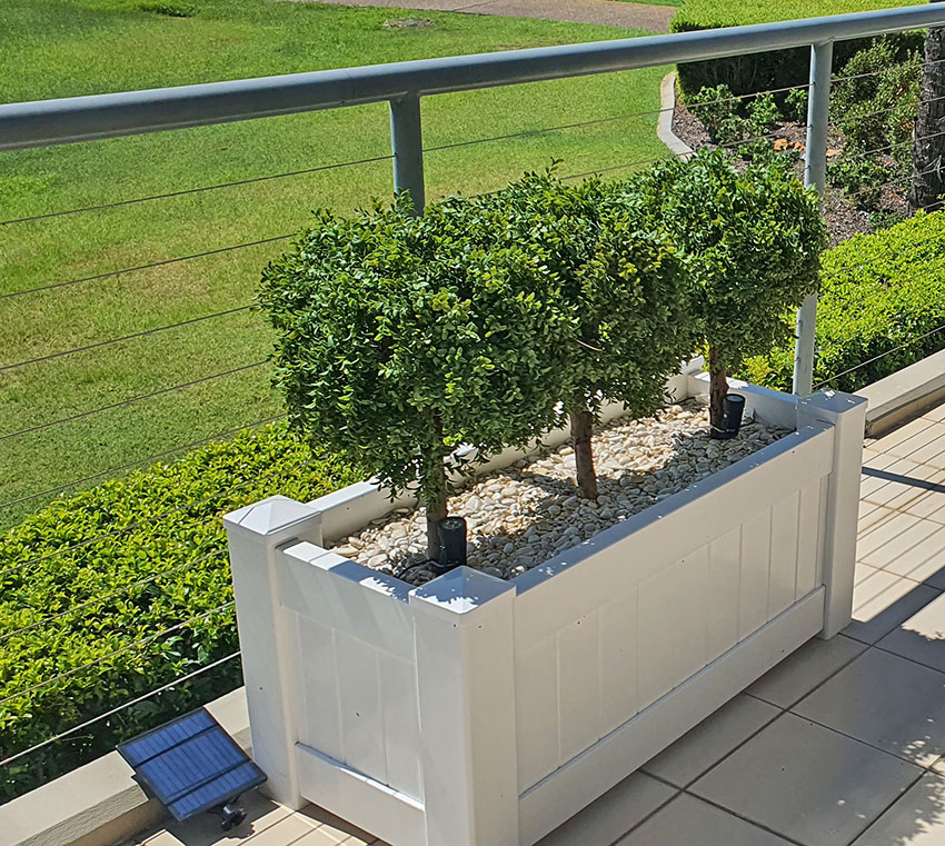 Boxwood Topiary in long balcony planter