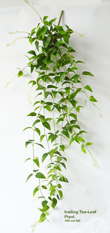 Articial Plants - Trailing Tea-Leaf Plant