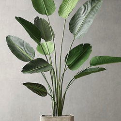 Heliconia Palms- 1.8m - artificial plants, flowers & trees - image 3