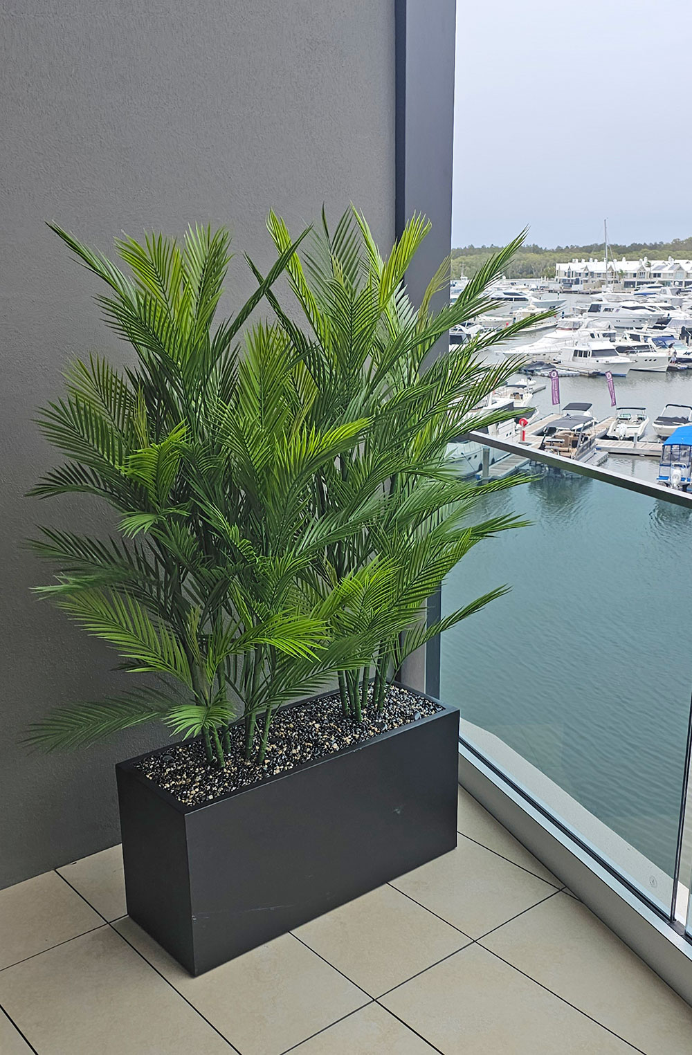 Trough Planters- with UV Parlour Palms 1.6m