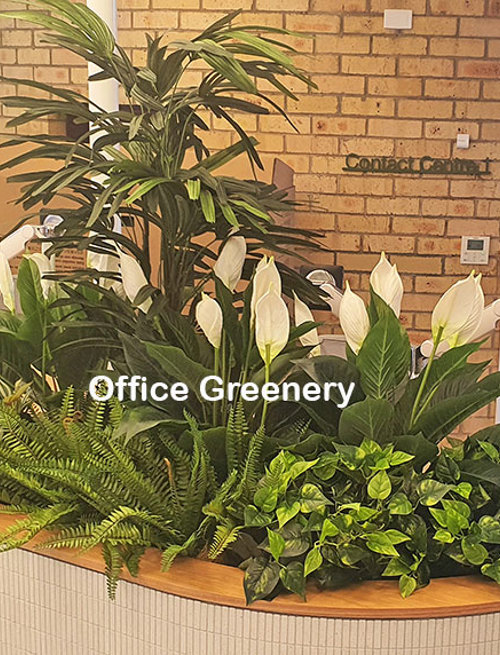 New offices with a green shine...