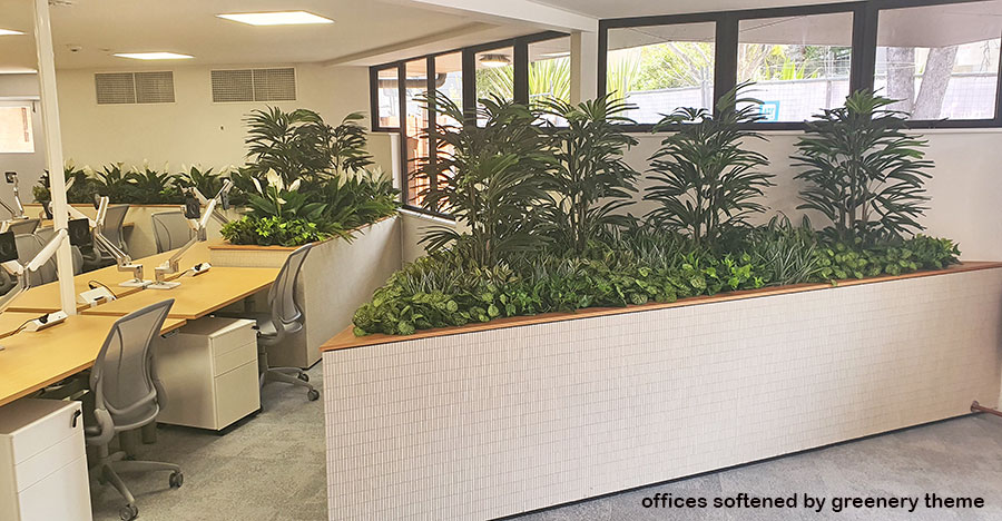 planter boxes define spaces in open offices (Copy-1)
